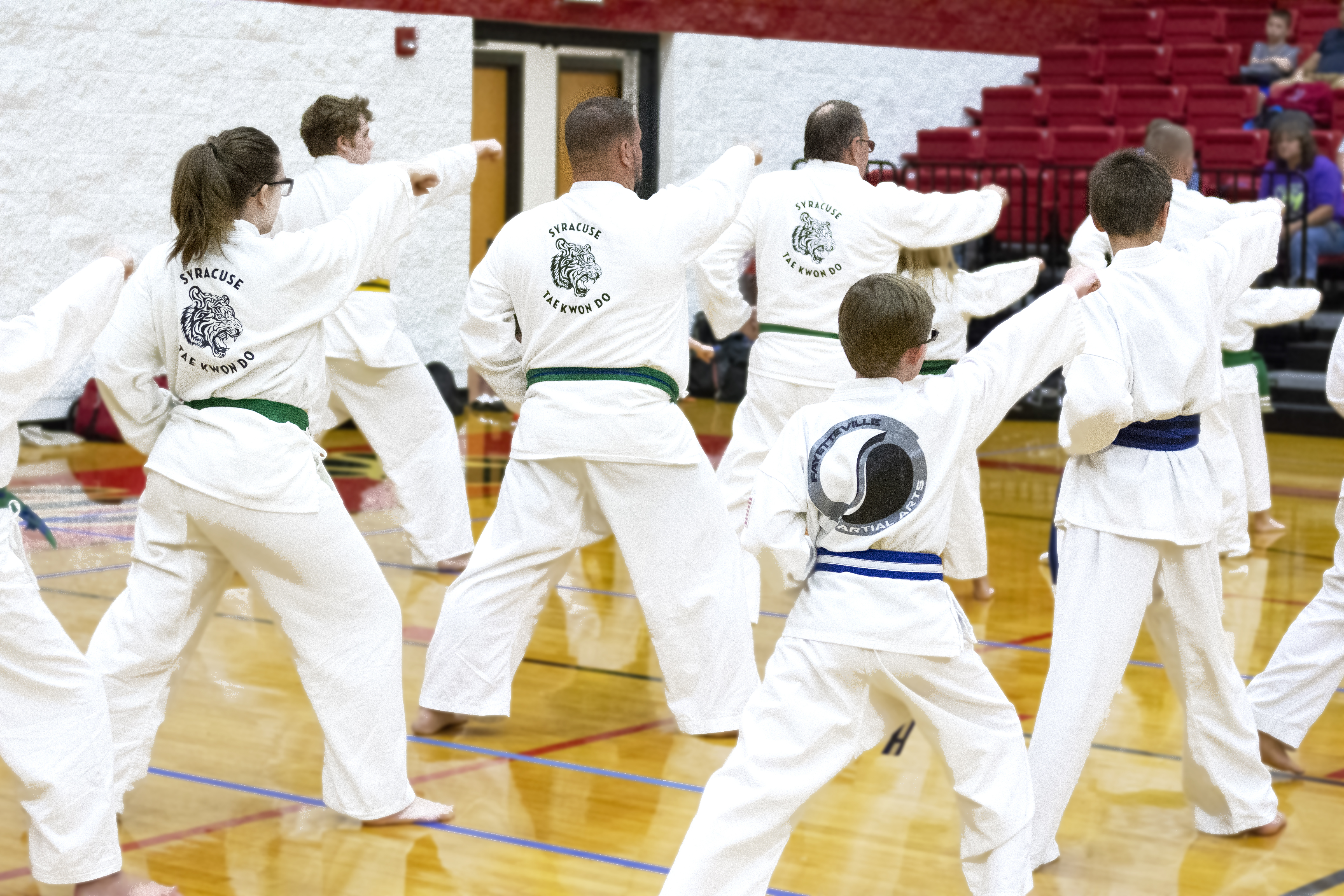 Taekwondo Punch